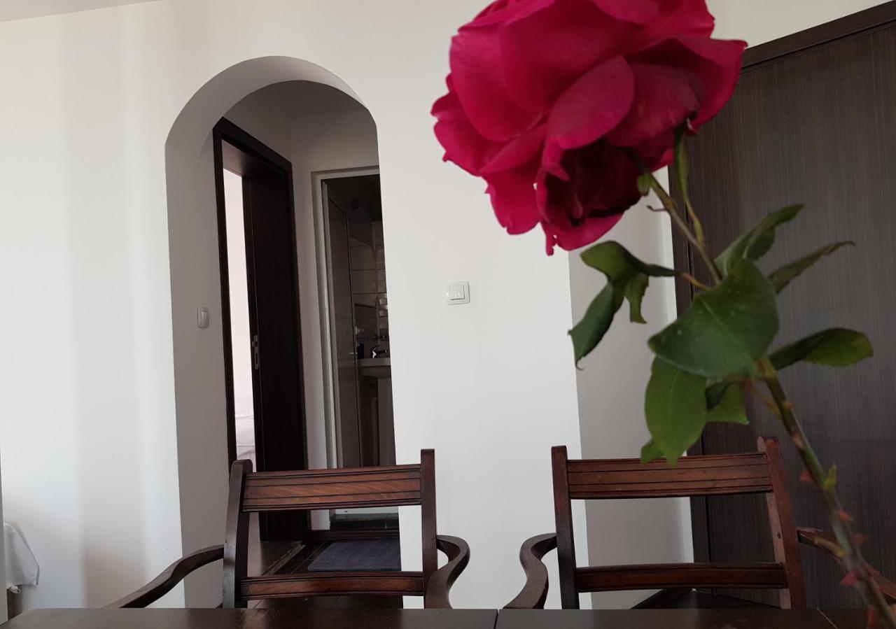 فندق Sunny Island ابزور المظهر الخارجي الصورة